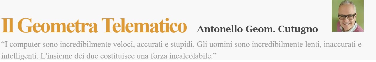 Il Geometra Telematico
